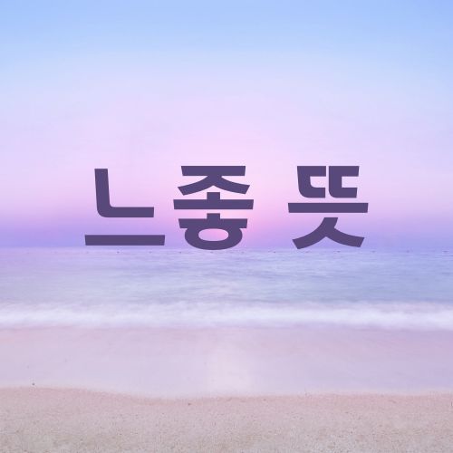 느좋 뜻 유래 MZ세대 유행어 SNS