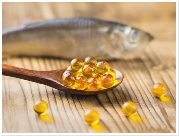 오메가3 지방산의 성분 이해 및 효능 건강상의 이점과 복용법 선택방법