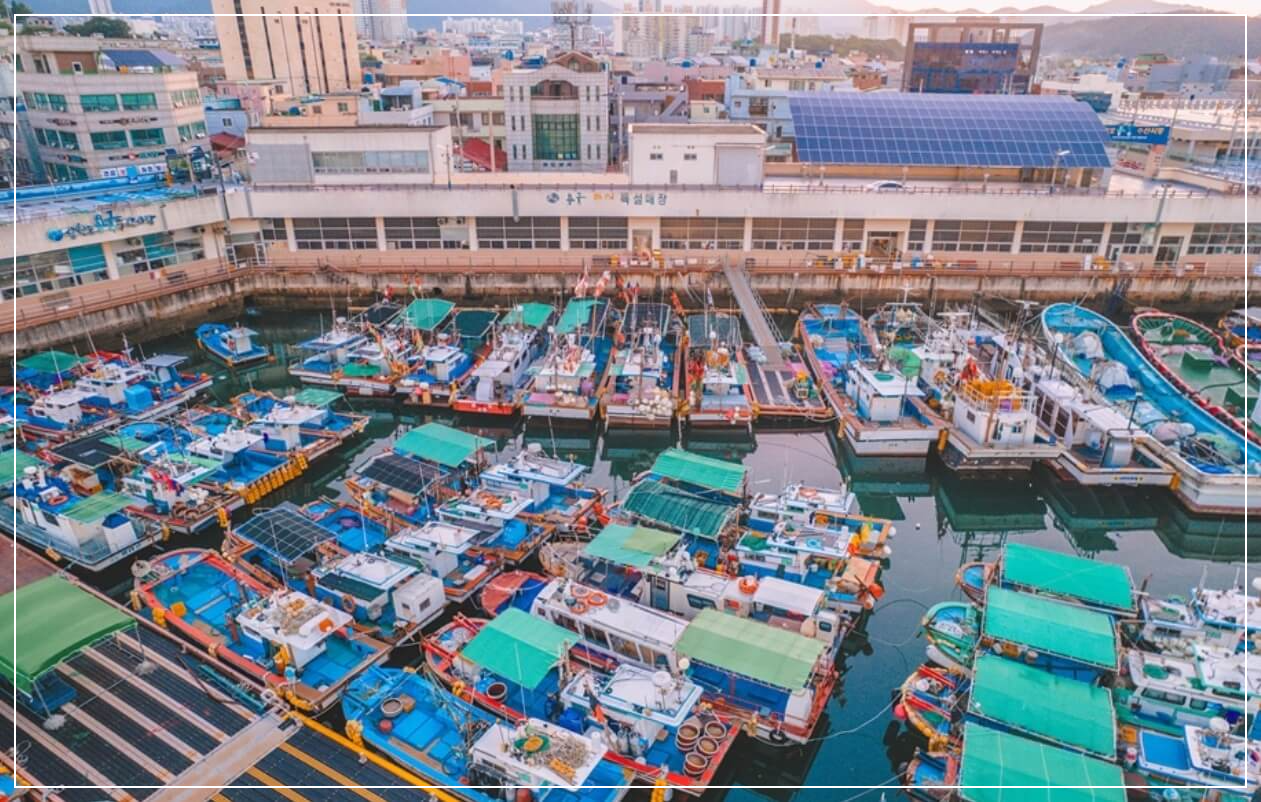 사천 가볼만한곳 베스트10 삼천포 용궁수산시장