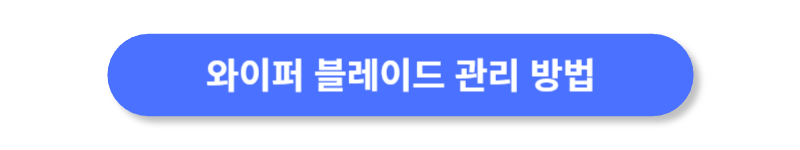 버튼