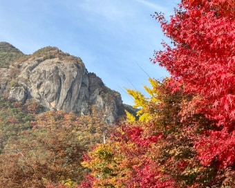 경북 주왕산 단풍