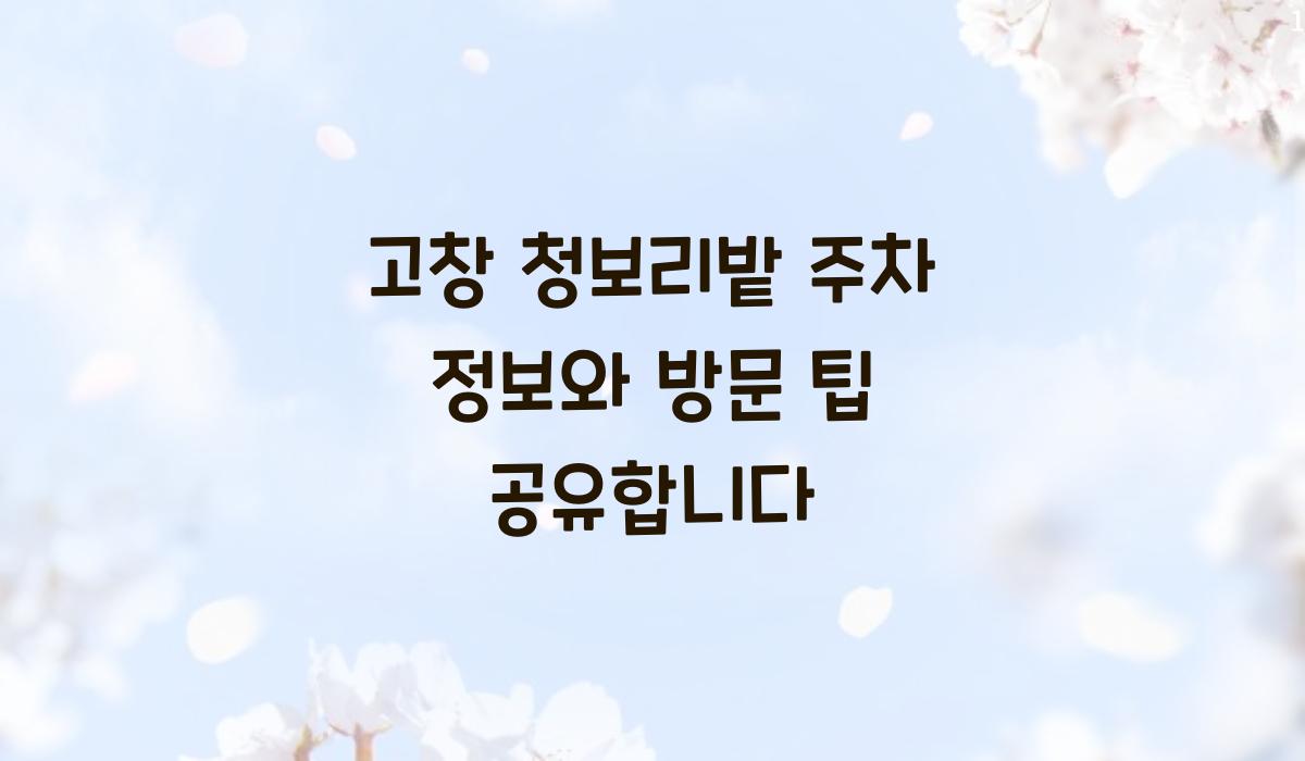 고창 청보리밭 주차 정보