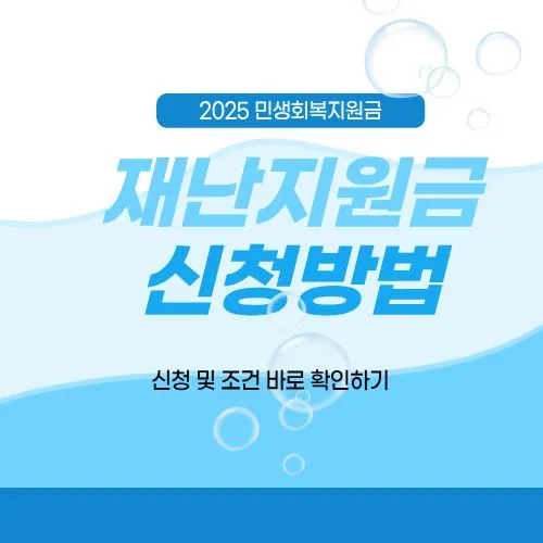 재난지원금 신청방법, 2025 민생회복지원금 신청 및 조건 확인하기 (ft. 예산 소진 주의)