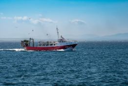 원양어선 연봉 정리