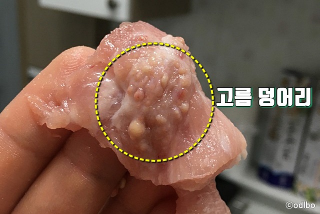돼지고기 목살 고름 덩어리 앞다리살 뒷다리살 주사자국, 돼지열병