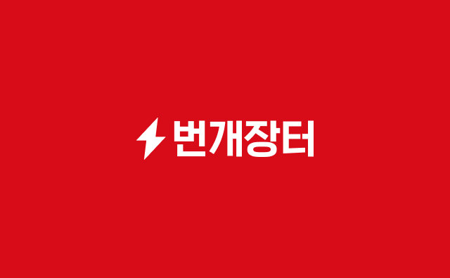 번개장터 바로가기