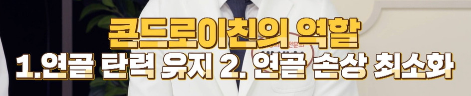 콘드로이친