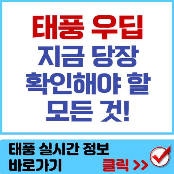 태풍 우딥 썸네일