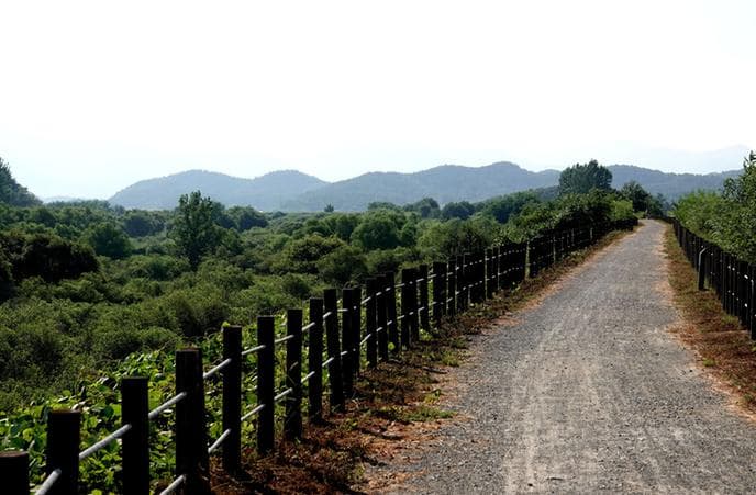 경남 창녕군 우포늪, 우포생태관, 우포출렁다리