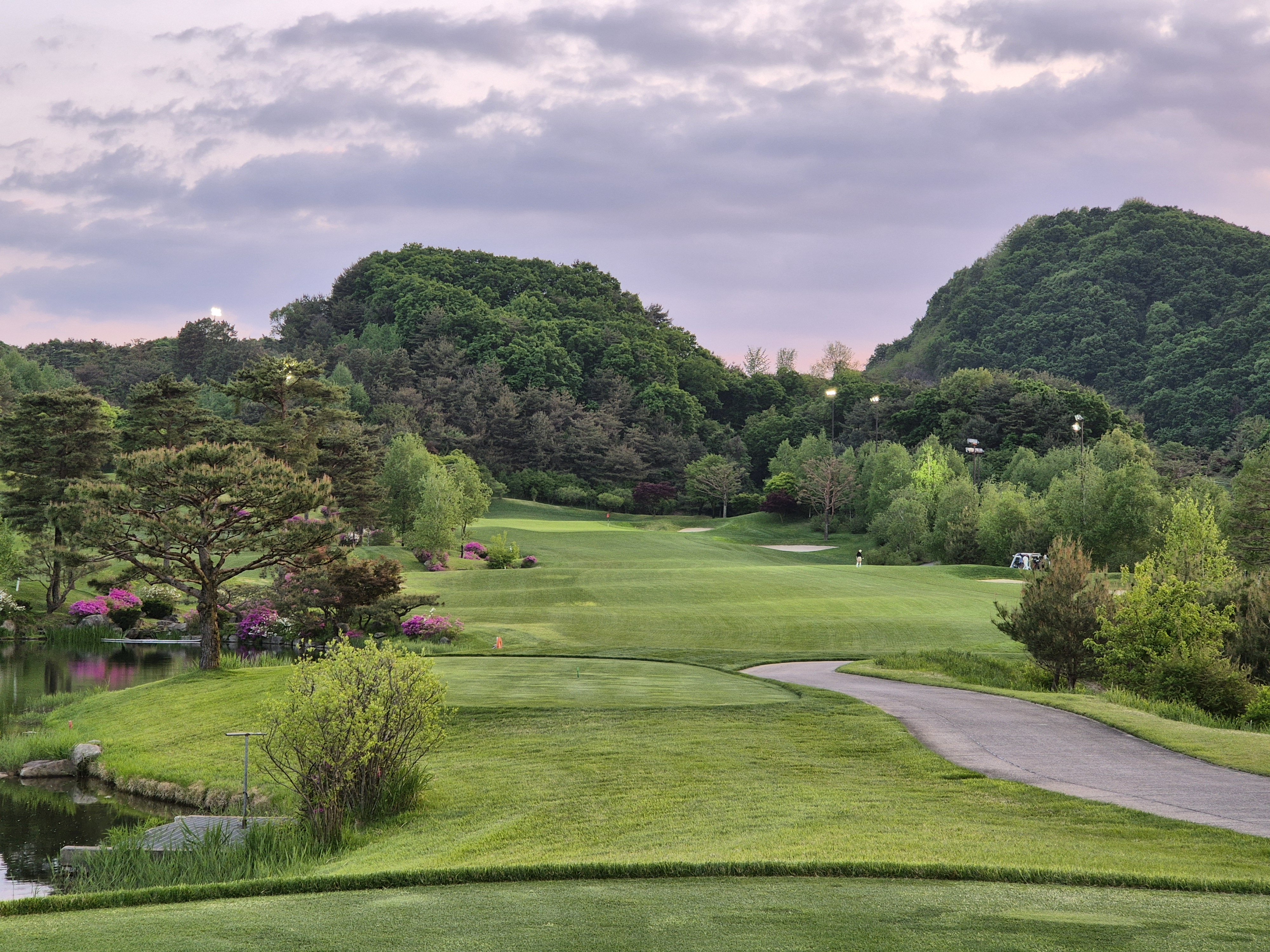 베어크리크cc 크리크코스