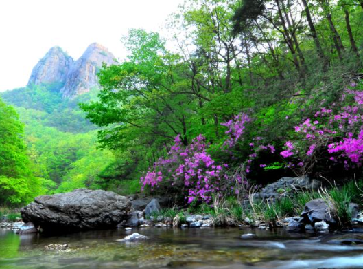 주왕산