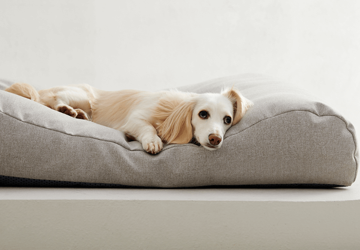 높이 조절 가능