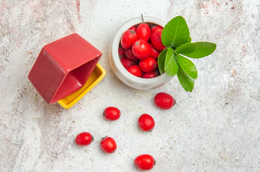 보리수 열매 효능