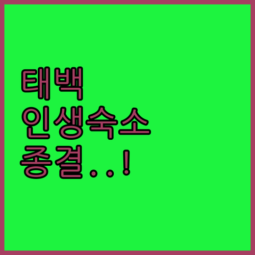 겨울 태백산 여행 필수 체크 깔끔한 ..