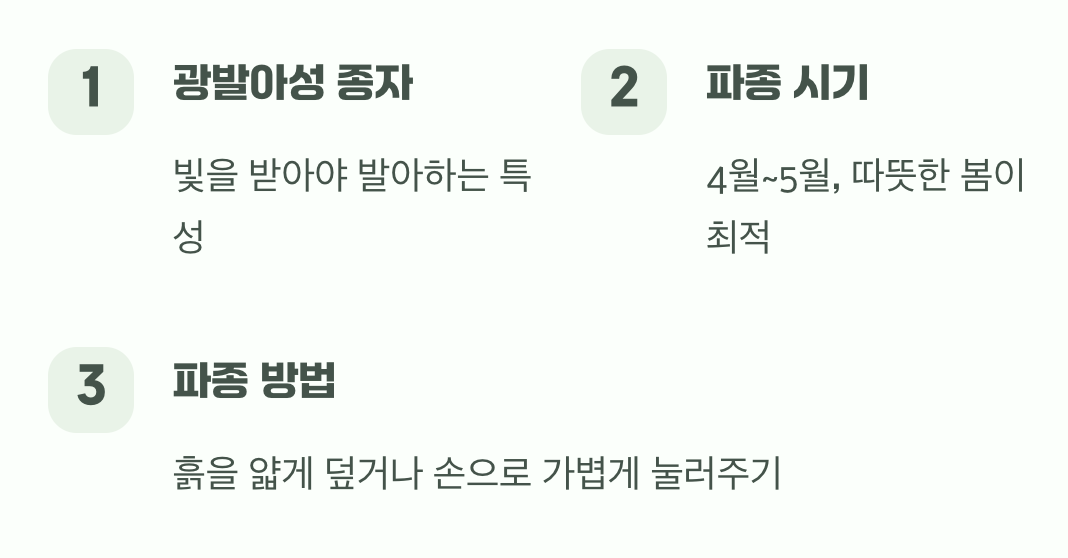 씨앗과의 첫 만남, '파종'