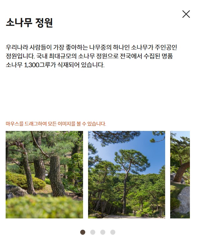 화담숲 테매중 소나무정원 설명사진