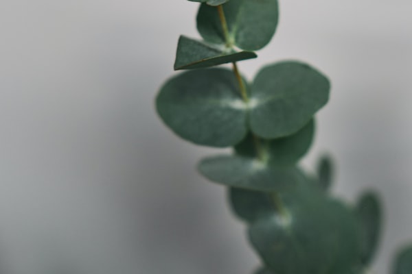 안구 운동 및 안마 기술로 눈 건강 향상