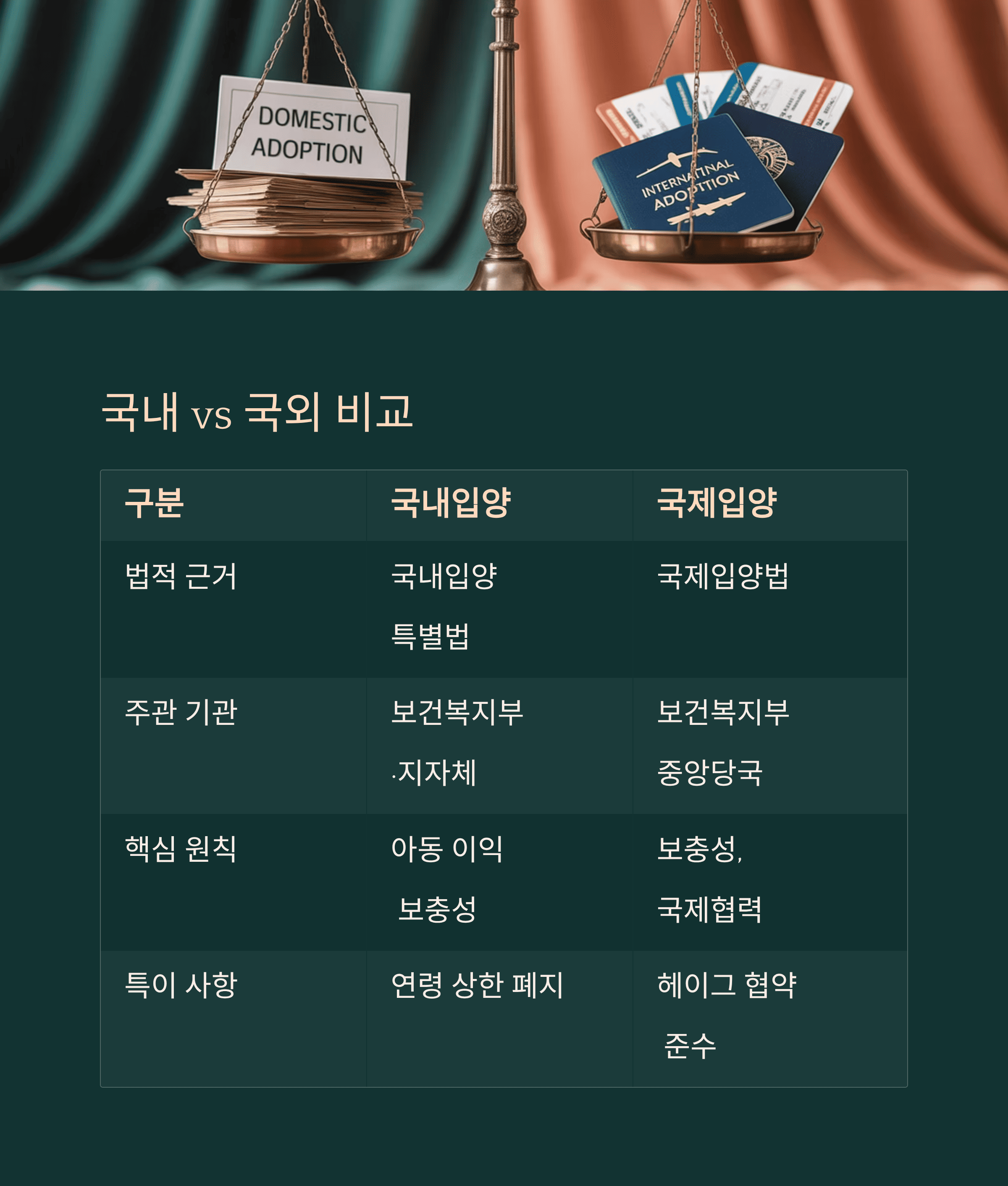국내&middot;국외 입양 제도 국내와 국외 비교