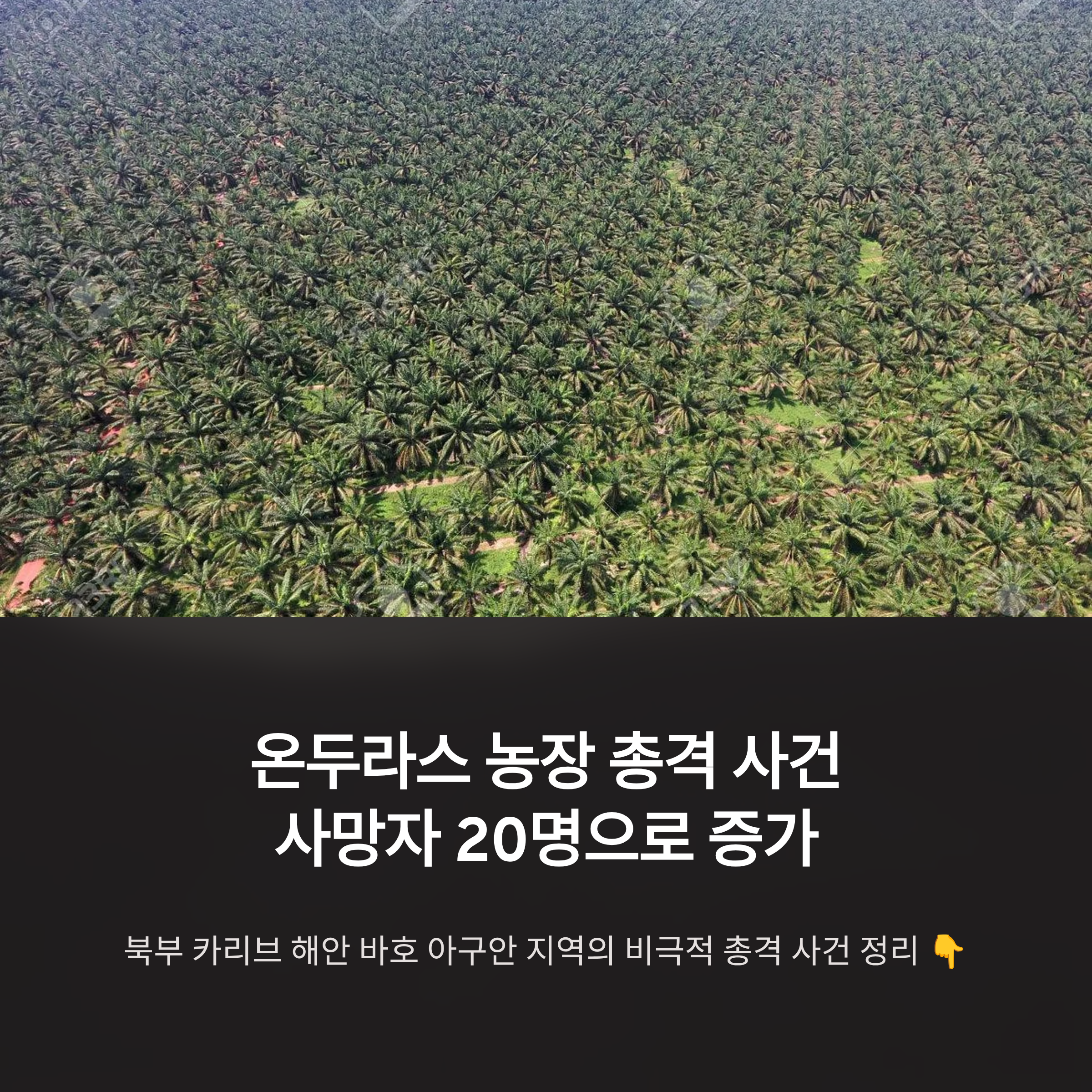 온두라스 아프리카 팜 농장 총격 사건 사망자 20명으로 증가