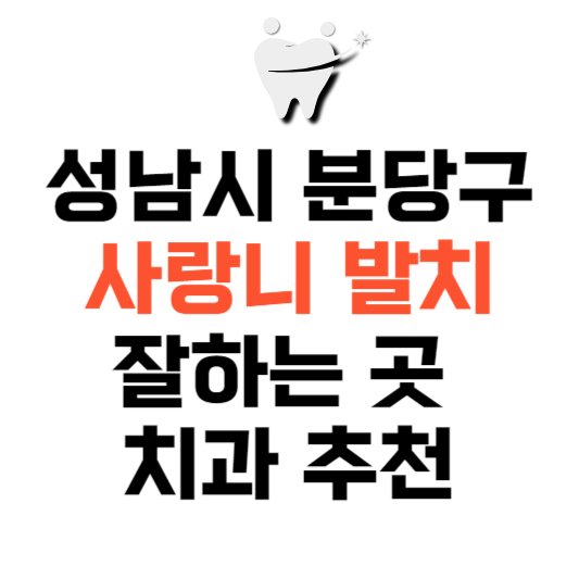 경기도 성남시 분당구 사랑니 치과 발치 잘하는 곳 추천 매복 가격 비용.png