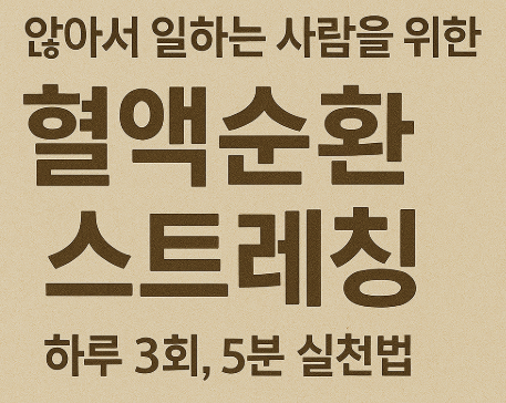 앉아서 일하는 사람을 위한 혈액순환 스트레칭 – 하루 3회, 5분 실천법
