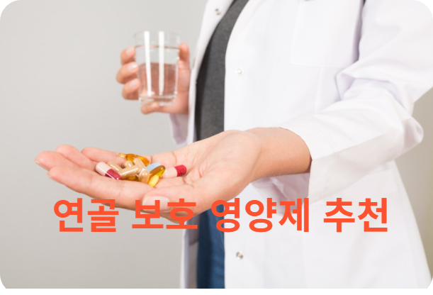 연골 보호 영양제 추천