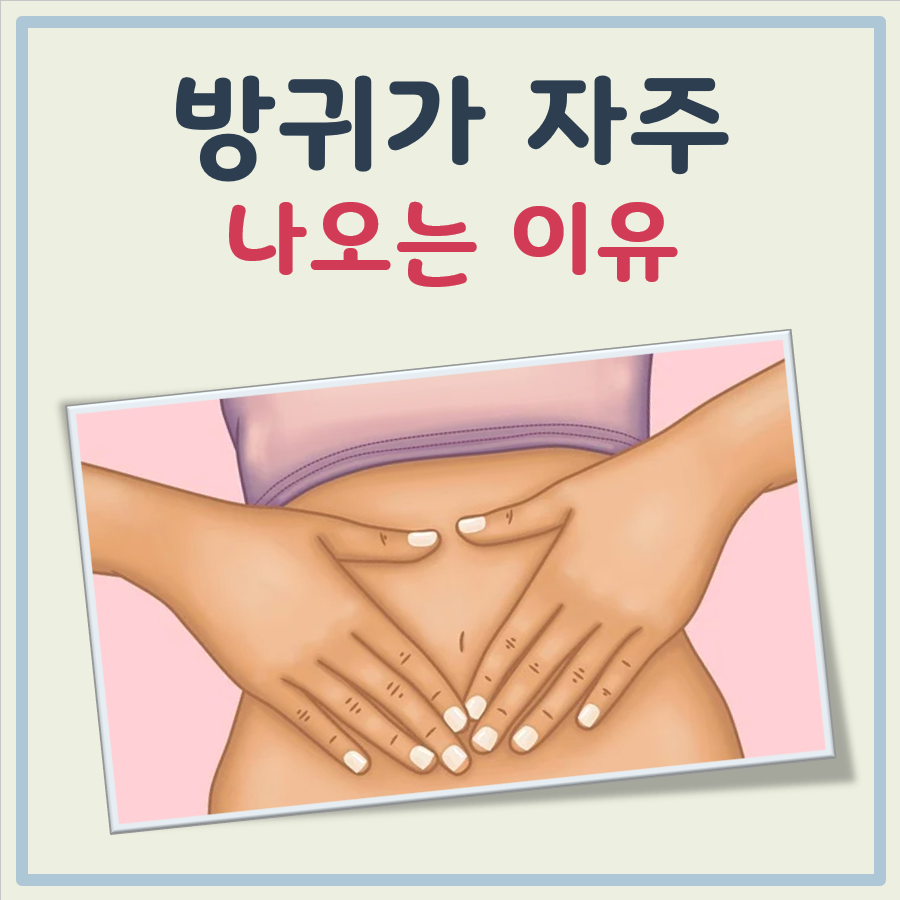 방귀가 자주 나오는 이유 대표 이미지