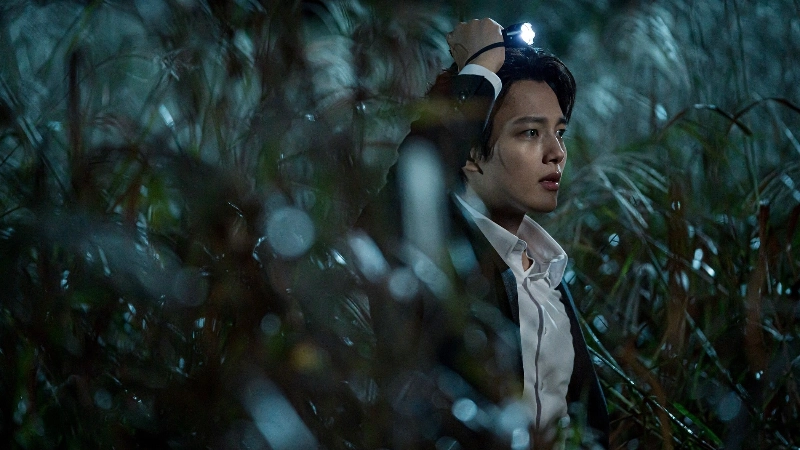 포스터 및 스틸컷