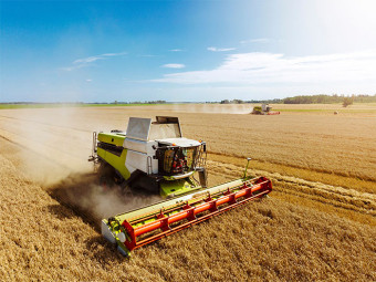 공익직불금 신청하기