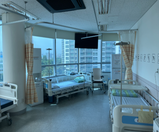 2024년 진료분 환급 시점은?