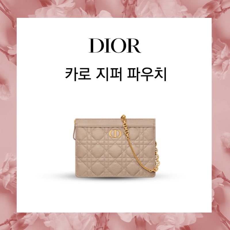 디올 카로 지퍼 파우치