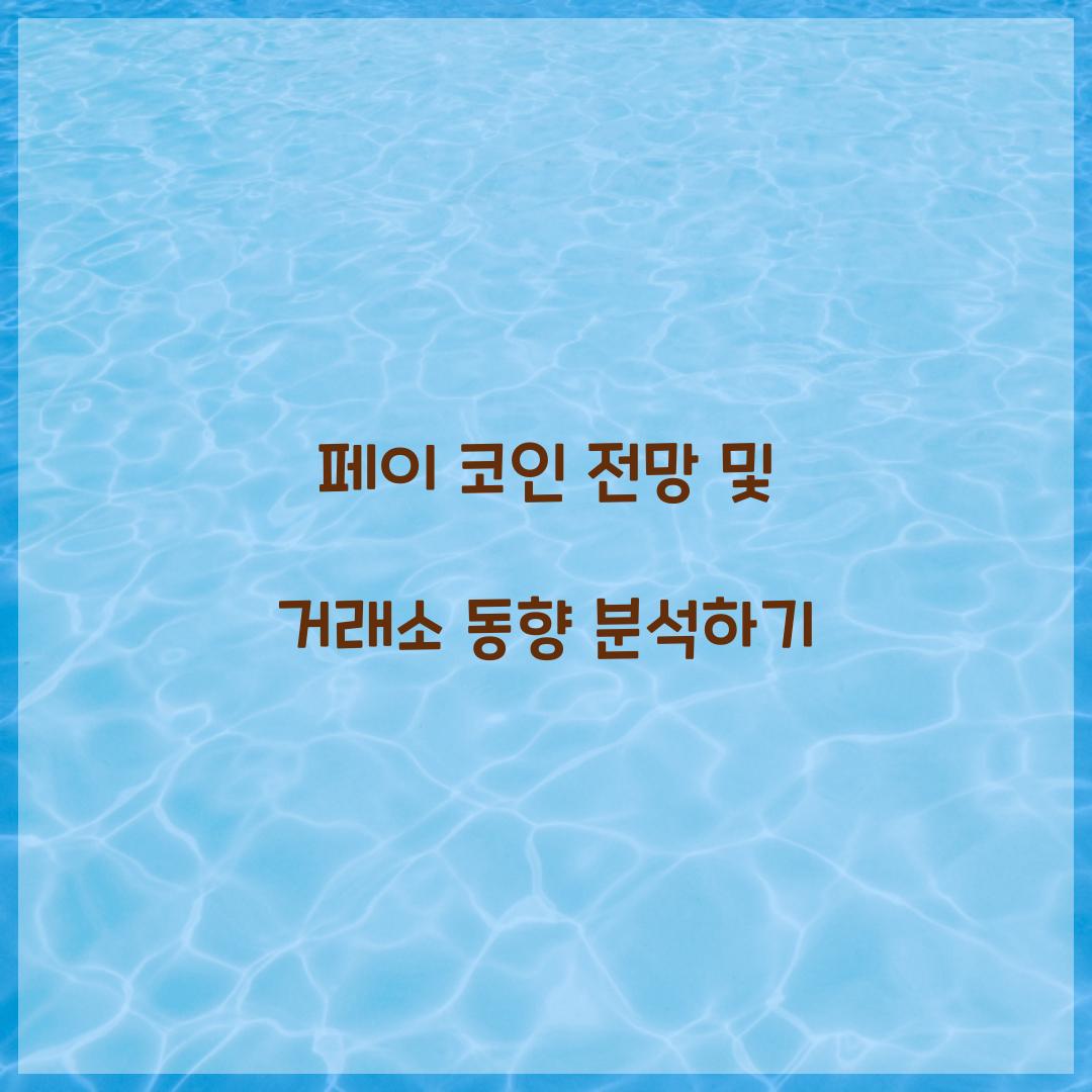 페이 코인 전망