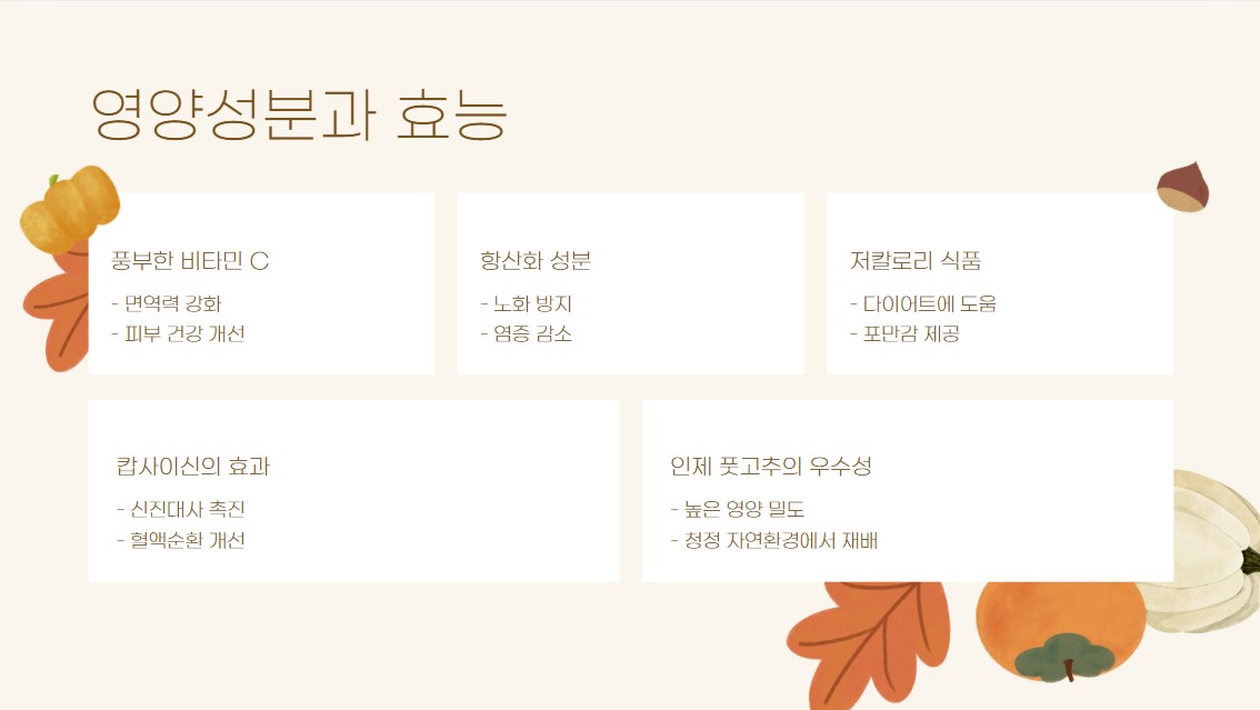 강원도 인제 풋고추 소개