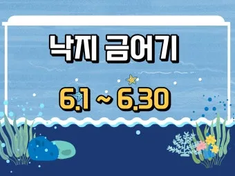 6월 낙지 금어기 정확한 시작일과 끝나는 날 지역별 상세 기준 정리_3