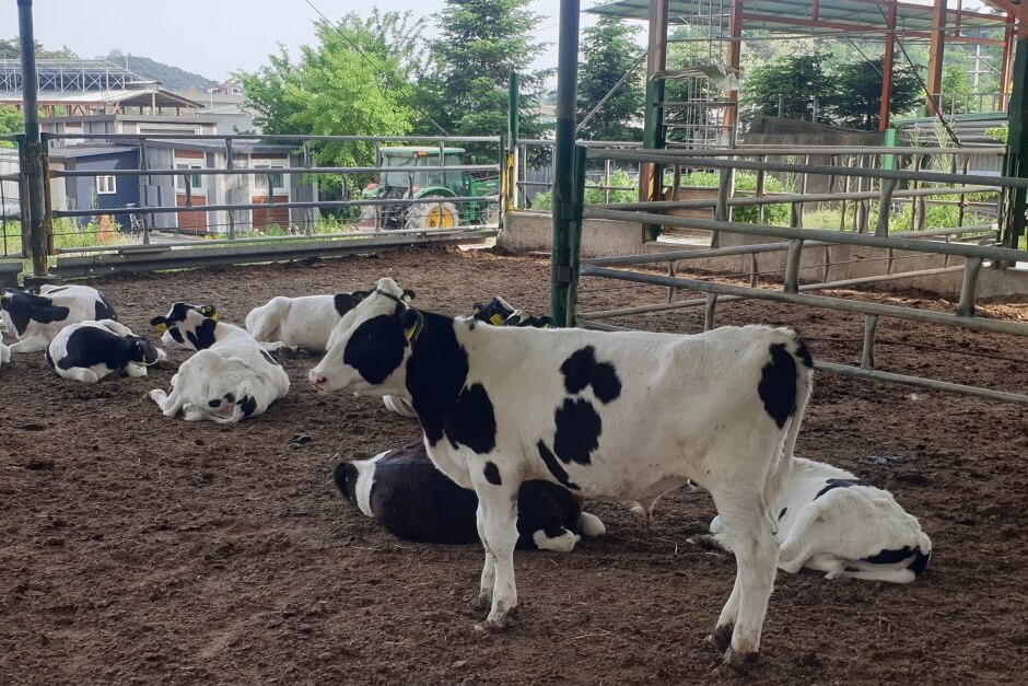 영주 가볼만한곳 베스트 10