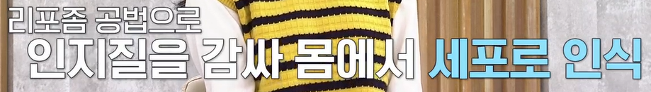 리포좀 비타민c