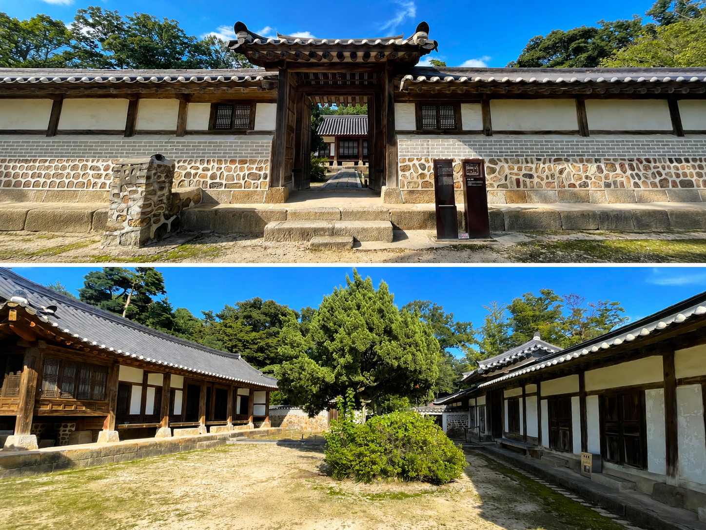 융릉의 제향을 준비하고 능역을 관리하던 재실과 안마당의 천연기념물 개비자나무