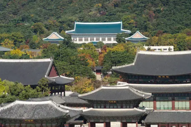 청와대 관람신청