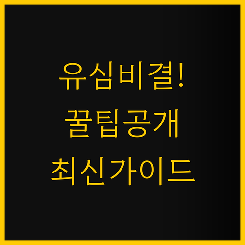 유심사 유심칩 비교 중국 홍콩 마카오..