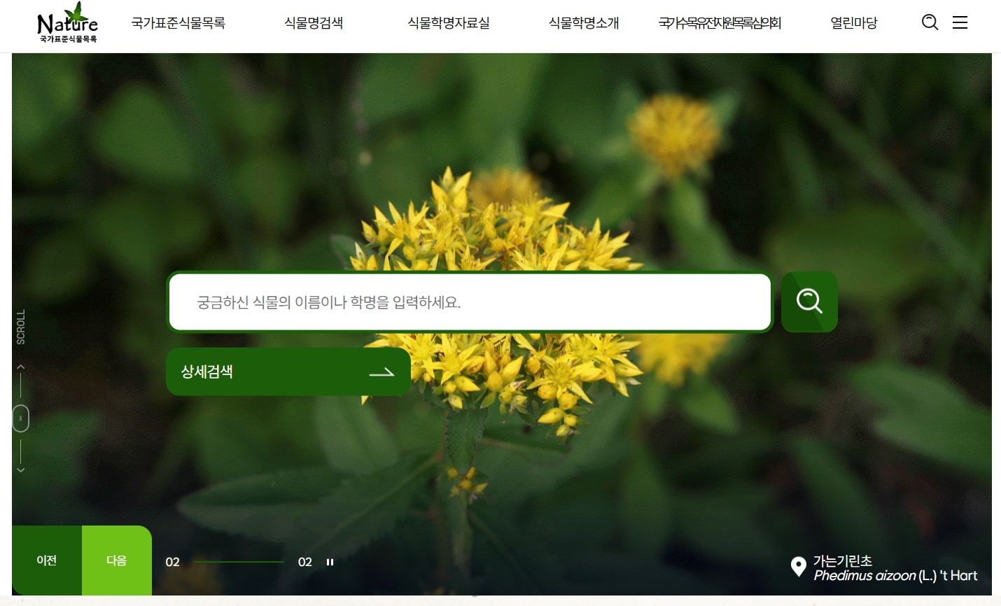 국가표준식물목록 바로가기|한국 식물 학명 검색 방법 총정리 (국립수목원 공식 DB 활용법) 관련 사진