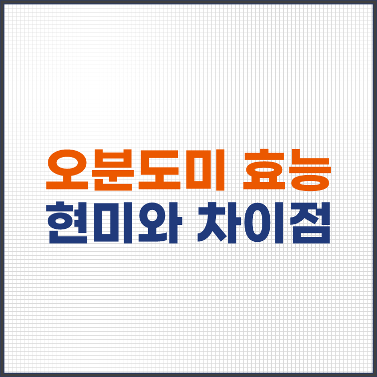 오분도미-효능-현미-차이점
