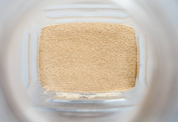 맥주효모의 효능 및 부작용