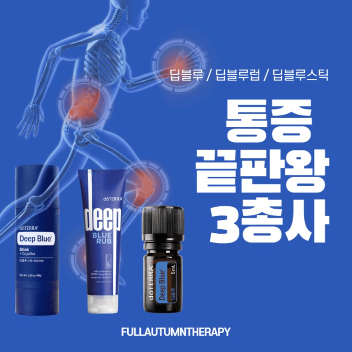 딥블루럽
