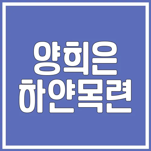 양희은 하얀목련