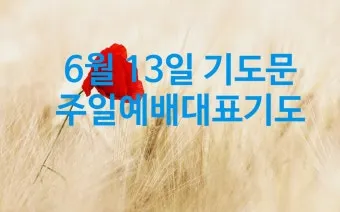 6월 넷째주 주일 대표 기도문 모음_24