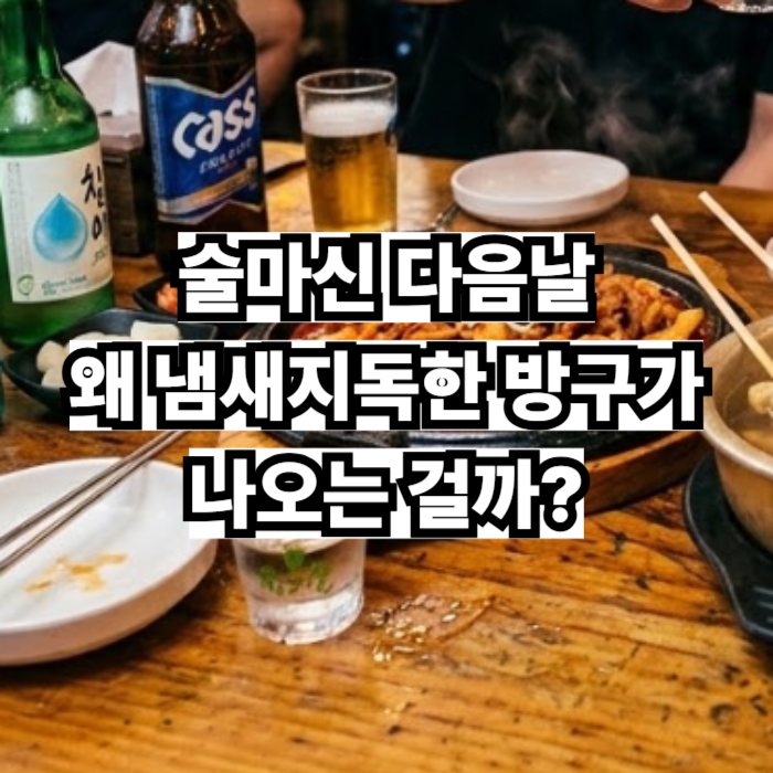 술마신 다음날 왜 냄새지독한 방구가 나오는걸까