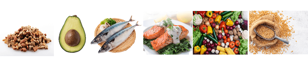 고지혈증에-좋은음식