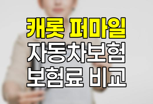 캐롯 퍼마일 자동차보험 심층 분석, 실제로 저렴할까?