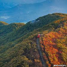 대봉산 숲속힐링