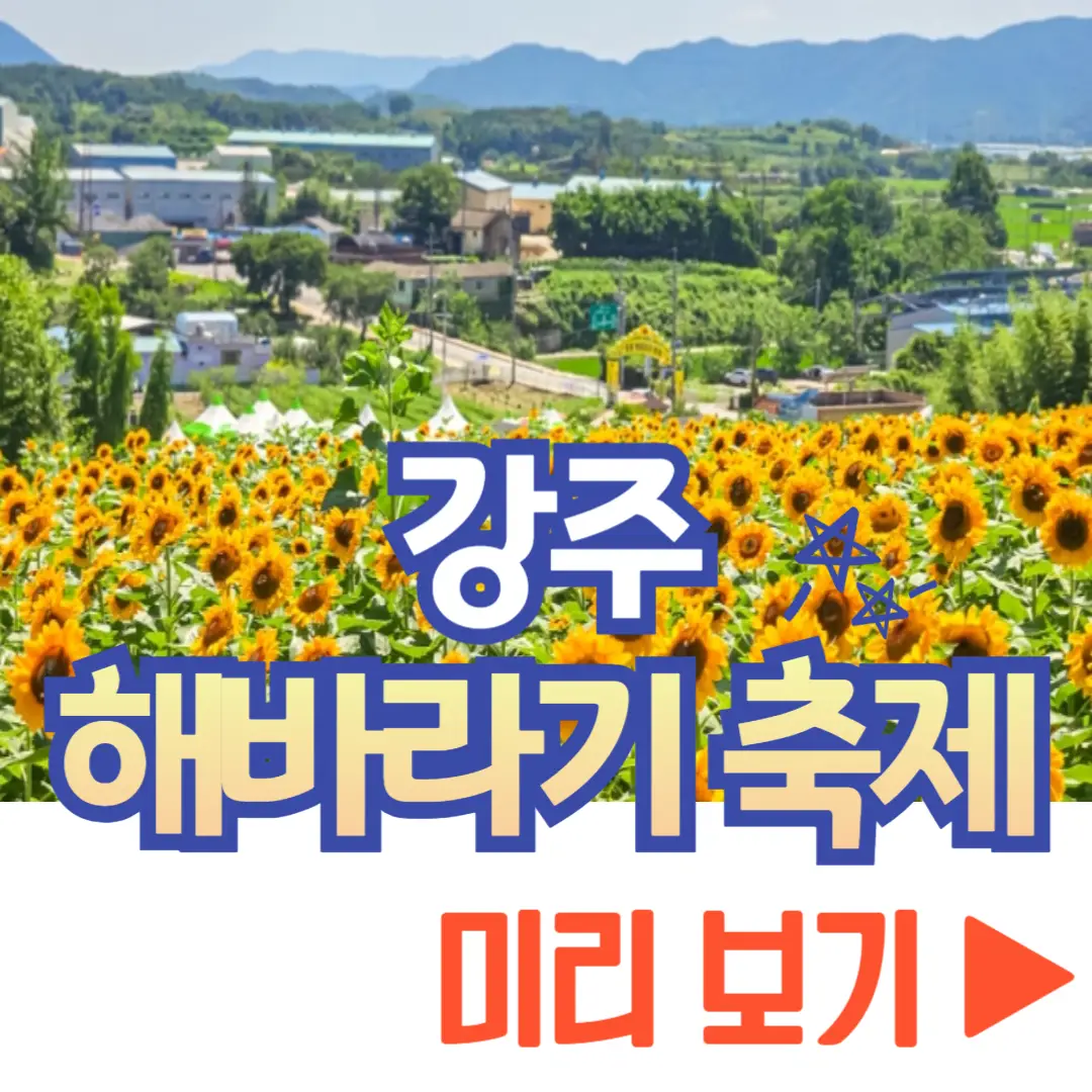 강주 해바라기 축제